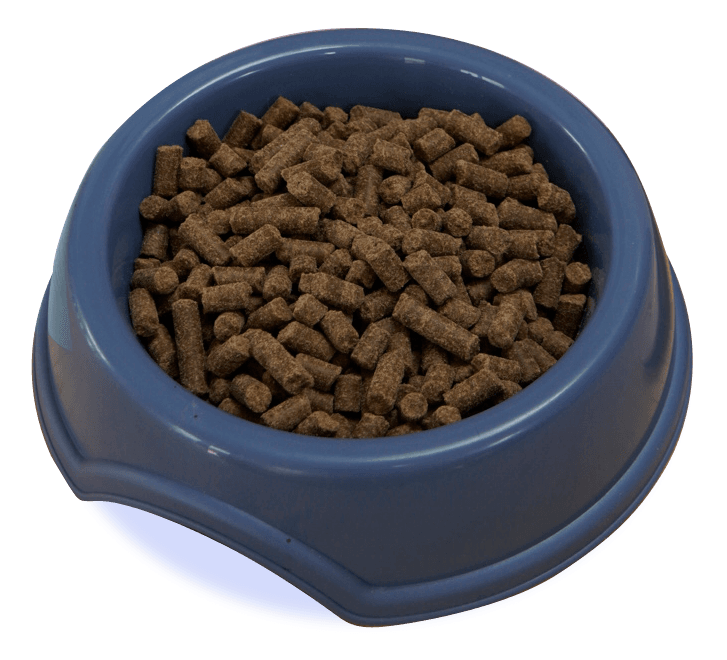 Bowl of Pawsitive Dog Food